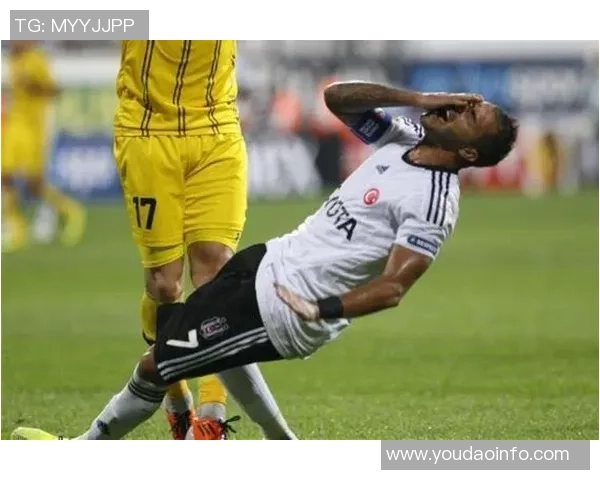 足球明星的小狗展现球技与明星风范的趣味时刻